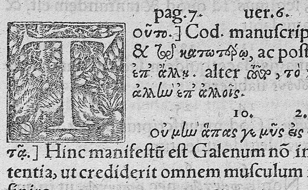 An illustration from Galenoi peri muôn kinèseôs biblia duo, 1544, leaf 79