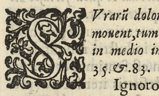 An illustration from Hippocratis Prognosticum : in quo omnes diuini viri, tàm genuinae sanctae et magnae tabellae, quàm spurie, apocryphe, et tabellae paruae sententiae continentur ordine secundum locos dispositae, et brevibus annotationibus illustratae à Doctore Il defonso Lopi Pinciano, Cesarae Maiestatis Medico, 1596, leaf 533