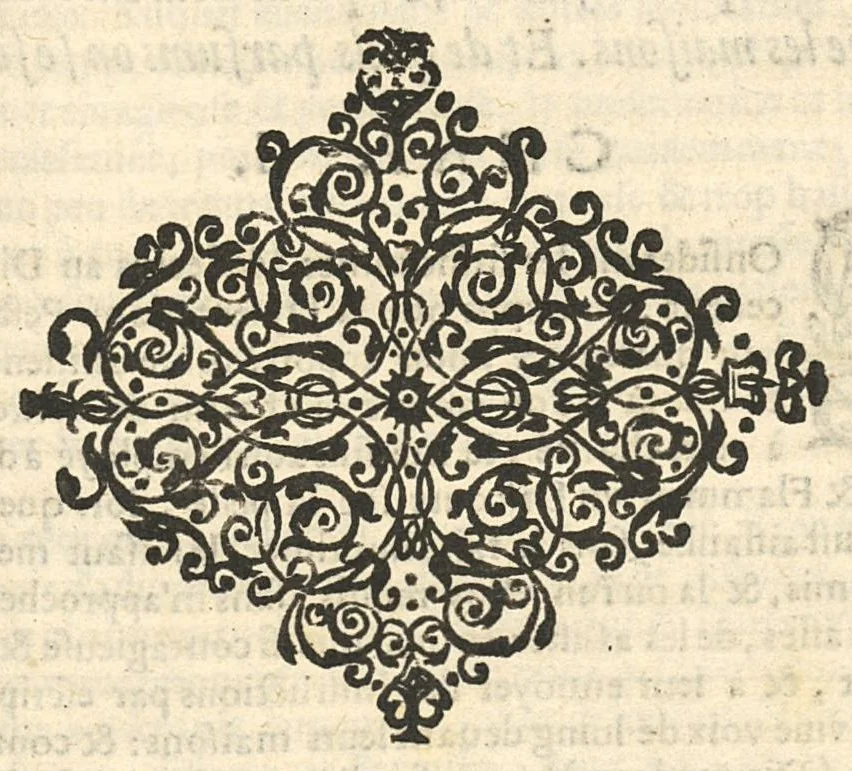 An illustration from Discours et advis sur les flus du ventre douloureux, soit qu'il y ait du Sang ou point, sur le trousse-galant dict choleras-morbus..., 1643, leaf 44