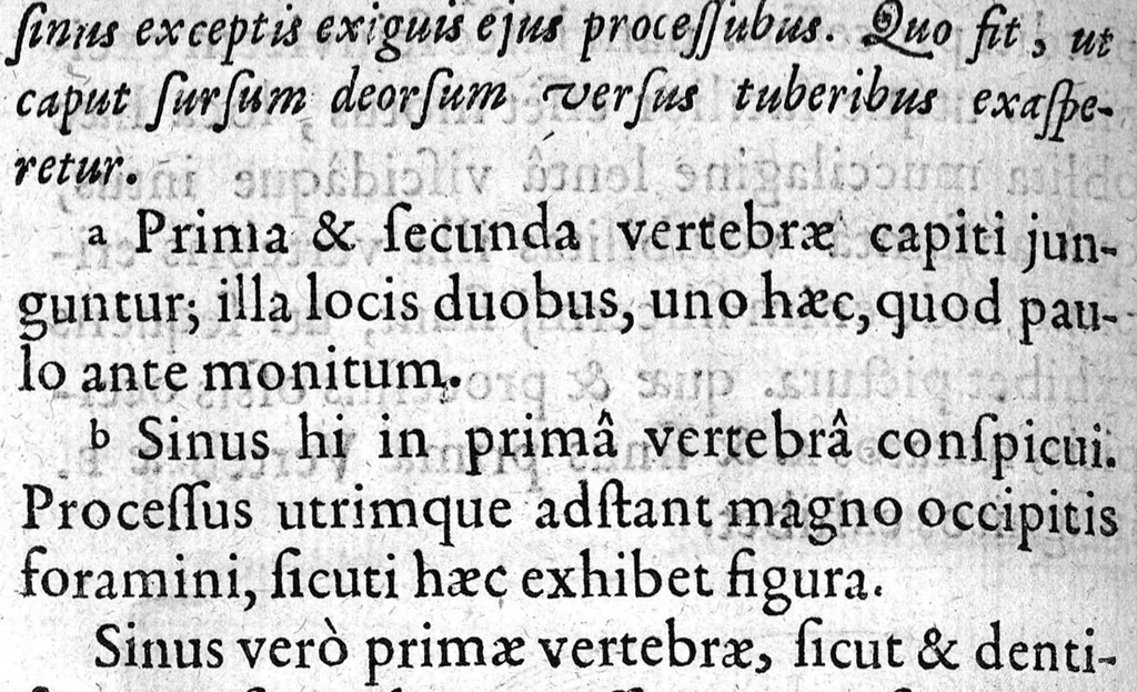 An illustration from A. Cornelii Celsi de Re Medica liber octavus. ejus priora quatuor Capita Commentariis illustrata a Petro Paaw, 1616, leaf 37