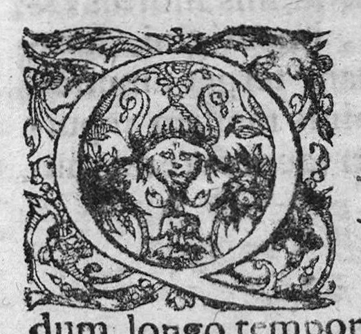 An illustration from Labyrinthi medici extricati, sive methodus vitandorum errorum qui in praxi occurrunt... Additus est ejusdem Septalii Tractatus De naevis, 1687, leaf 127