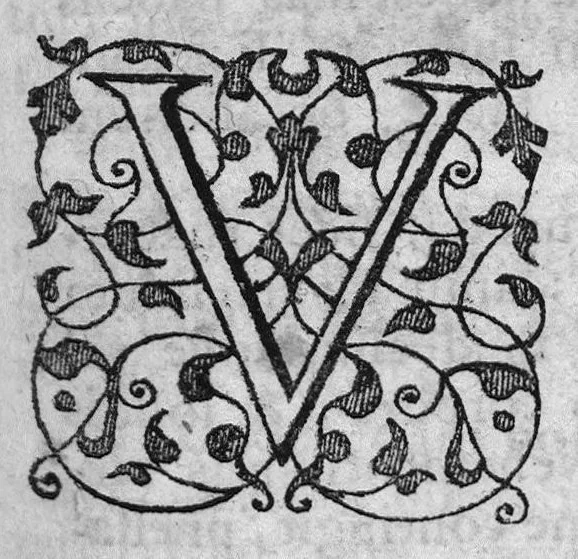 An illustration from Labyrinthi medici extricati, sive methodus vitandorum errorum qui in praxi occurrunt... Additus est ejusdem Septalii Tractatus De naevis, 1687, leaf 226
