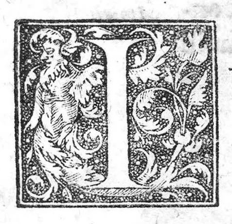 An illustration from Labyrinthi medici extricati, sive methodus vitandorum errorum qui in praxi occurrunt... Additus est ejusdem Septalii Tractatus De naevis, 1687, leaf 23