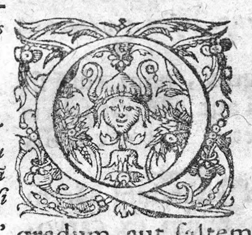 An illustration from Labyrinthi medici extricati, sive methodus vitandorum errorum qui in praxi occurrunt... Additus est ejusdem Septalii Tractatus De naevis, 1687, leaf 75