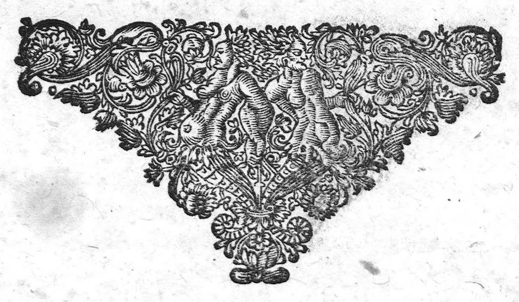 An illustration from Labyrinthi medici extricati, sive methodus vitandorum errorum qui in praxi occurrunt... Additus est ejusdem Septalii Tractatus De naevis, 1687, leaf 830