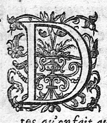 An illustration from Le cours de medecine en francois, contenant le miroir de beauté et santé corporelle... Tome second, 1664, leaf 2