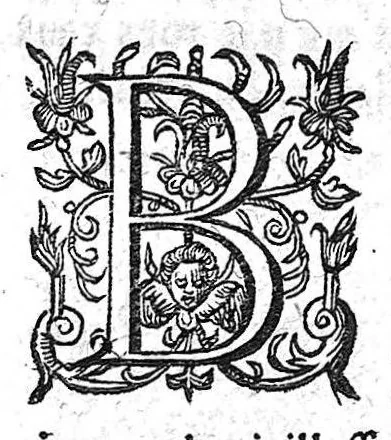 An illustration from Le cours de medecine en francois, contenant le miroir de beauté et santé corporelle... Tome second, 1664, leaf 301