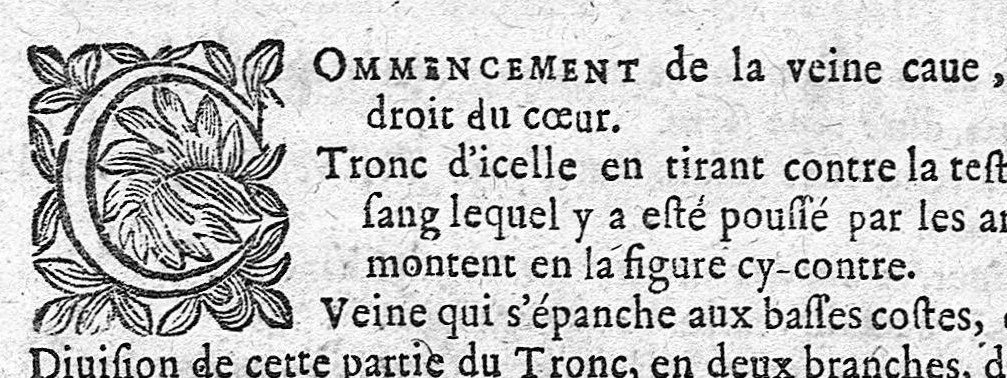 An illustration from Théorie de la médecine en francois, d'une maniere nouvelle et tres-intelligible, 1664, leaf 54