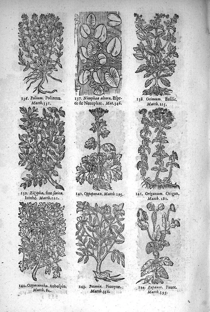 An illustration from Théorie de la médecine en francois, d'une maniere nouvelle et tres-intelligible, 1664, leaf 87