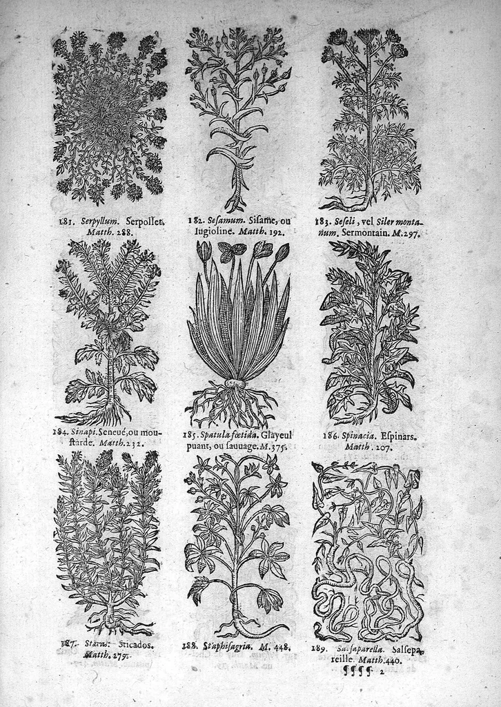 An illustration from Théorie de la médecine en francois, d'une maniere nouvelle et tres-intelligible, 1664, leaf 92