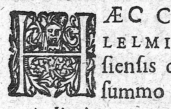 An illustration from Consiliorum medicinalium libri II. Tomus primus, 1635, leaf 24