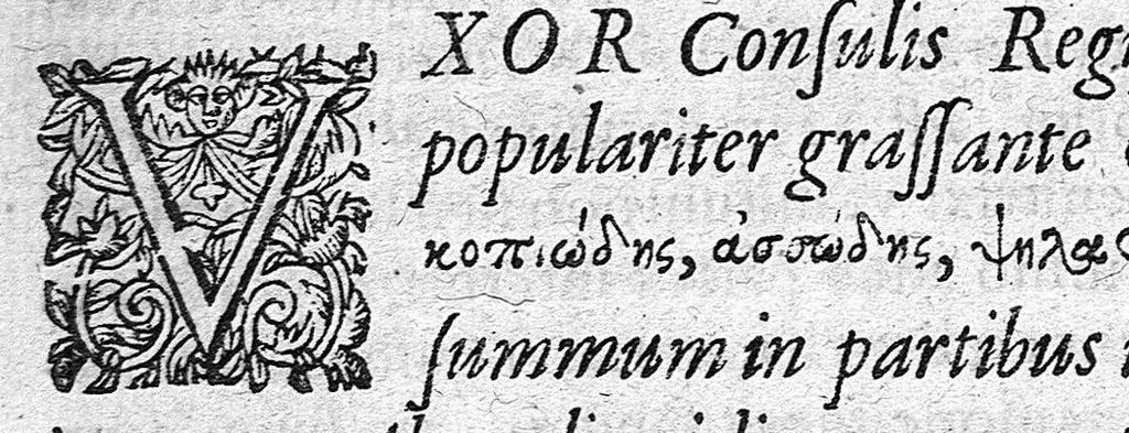 An illustration from Consiliorum medicinalium liber secundus. Tomus secundus, 1649, leaf 171
