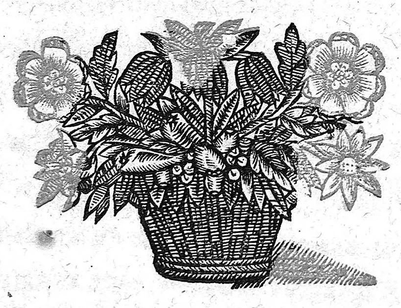 An illustration from Consiliorum medicinalium liber III. et postremus, 1649, leaf 0
