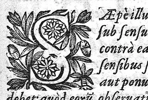 An illustration from Paradigmata et historiae morborum, 1648, leaf 2