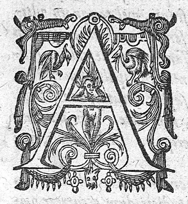 An illustration from Epidemiorum et ephemeridum libri duo, 1640, leaf 71