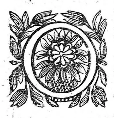 An illustration from Commentariis in libellum Theophrasti de vertigine, 1640, leaf 15