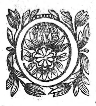 An illustration from Commentariis in libellum Theophrasti de vertigine, 1640, leaf 31
