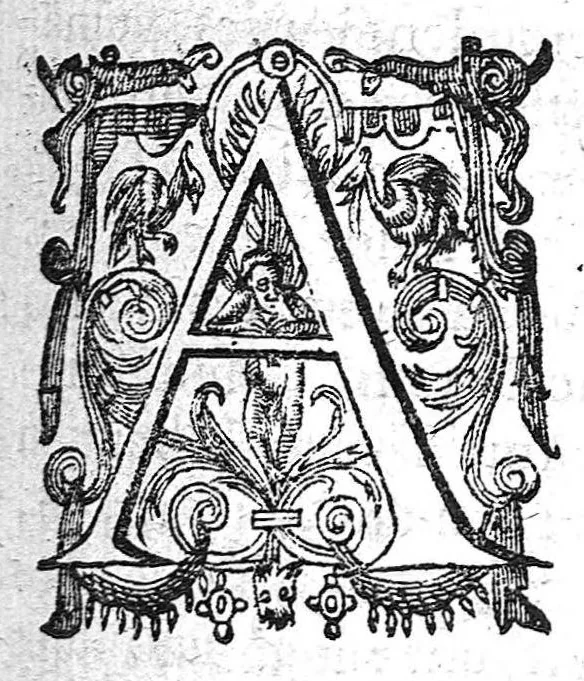 An illustration from Commentariis in libellum Theophrasti de vertigine, 1640, leaf 4
