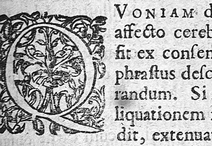 An illustration from Commentariis in libellum Theophrasti de vertigine, 1640, leaf 42