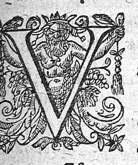 An illustration from Definitionum medicarum liber, 1640, leaf 10