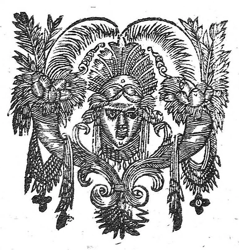 An illustration from Definitionum medicarum liber, 1640, leaf 135