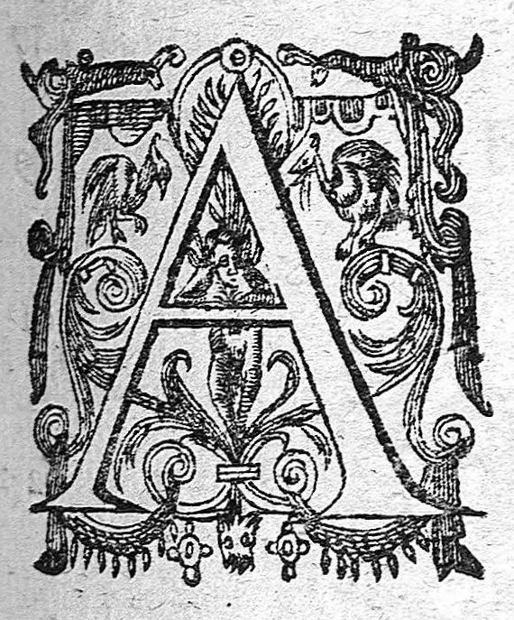 An illustration from Definitionum medicarum liber, 1640, leaf 16