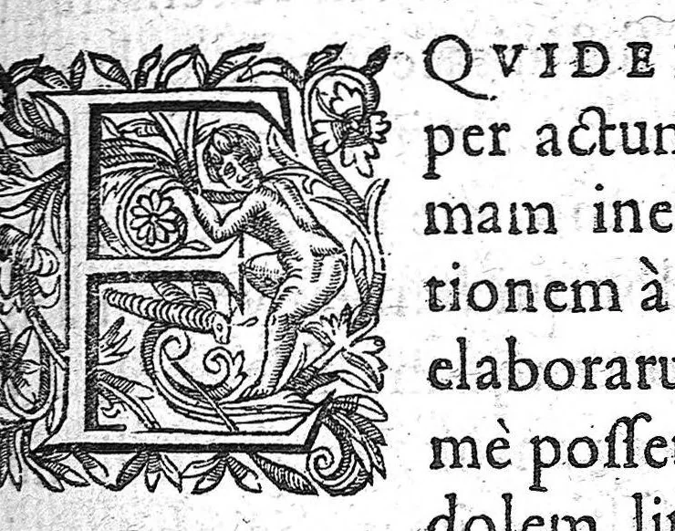An illustration from Definitionum medicarum liber, 1640, leaf 4