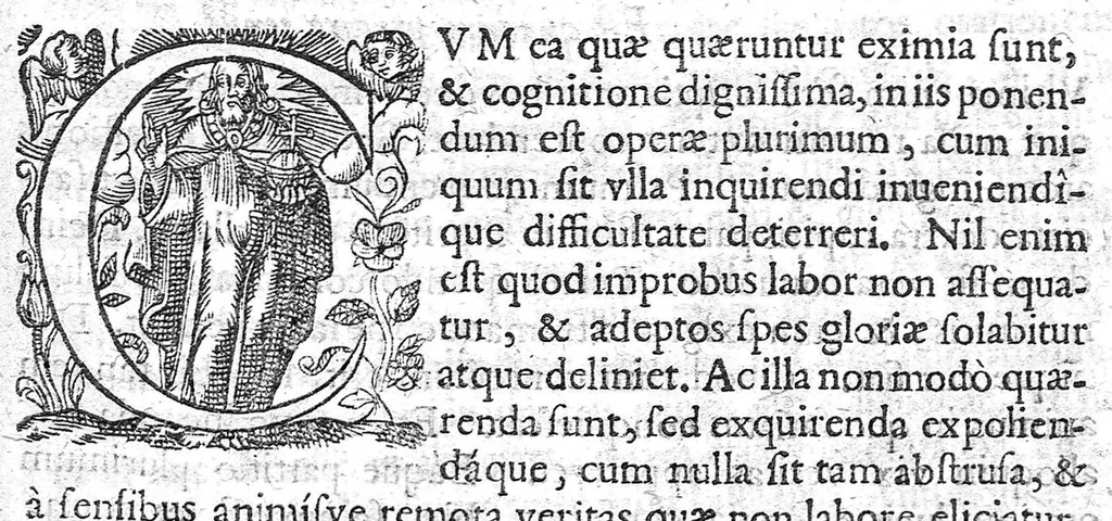 An illustration from De convulsionibus libellus, 1640, leaf 16