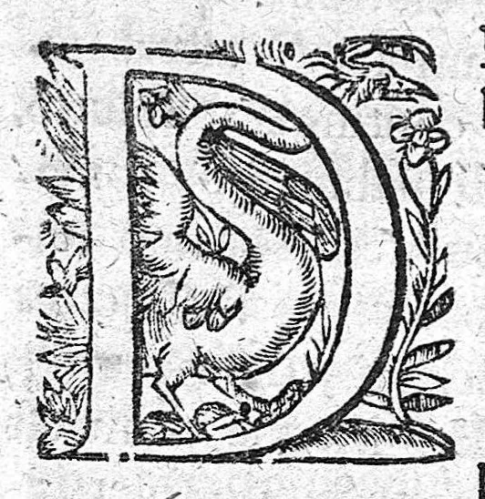 An illustration from De convulsionibus libellus, 1640, leaf 65
