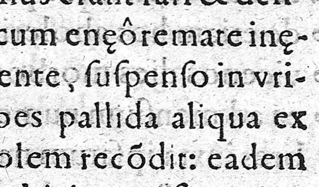 An illustration from De febre purpura..., 1578, leaf 183