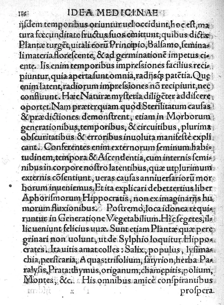 An illustration from Idea medicinae philosophicae, fundamenta continens totius doctrinae Paracelsicae, Hippocraticae et Galenicae...., 1571, leaf 131