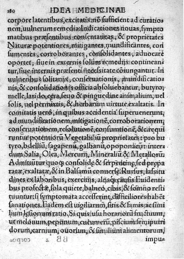 An illustration from Idea medicinae philosophicae, fundamenta continens totius doctrinae Paracelsicae, Hippocraticae et Galenicae...., 1571, leaf 395