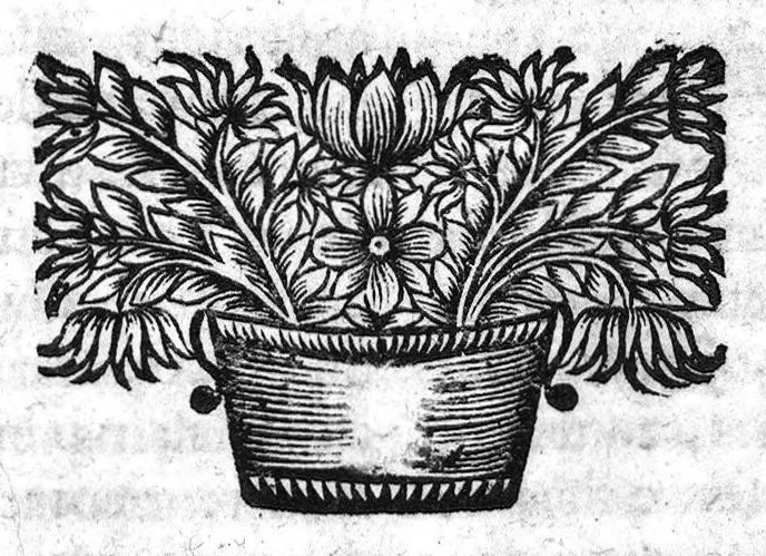 An illustration from Les œuvres de Jean-Baptiste Van Helmont, traittant des principes de médecine et physique pour la guérison assurée des maladies : de la traduction de M. Jean Le Conte, Docteur médecin., 1671, leaf 246