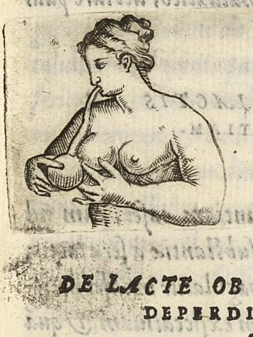 An illustration from Omniboni Ferrarii, medici ac philosophi De Arte medica infantium libri quatuor. Quorum duo priores De tuenda eorum sanitate, posteriores de curandis morbis agunt ..., 1577, leaf 42