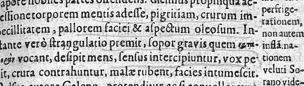An illustration from De virginum et mulierum morbis liber, 1643, leaf 231