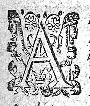 An illustration from Opuscula medica. De arthritide. De calculo et de urinarum hypostasi, 1643, leaf 16