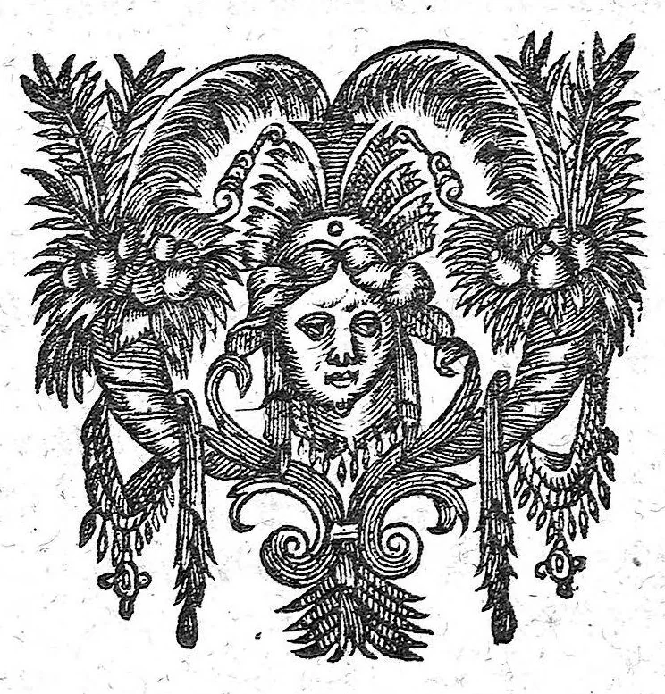 An illustration from Opuscula medica. De arthritide. De calculo et de urinarum hypostasi, 1643, leaf 36