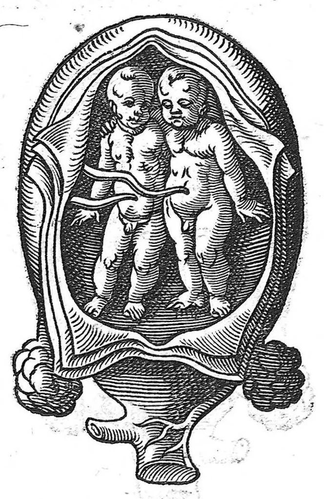 An illustration from De conceptu et generatione hominis, 1580, leaf 76