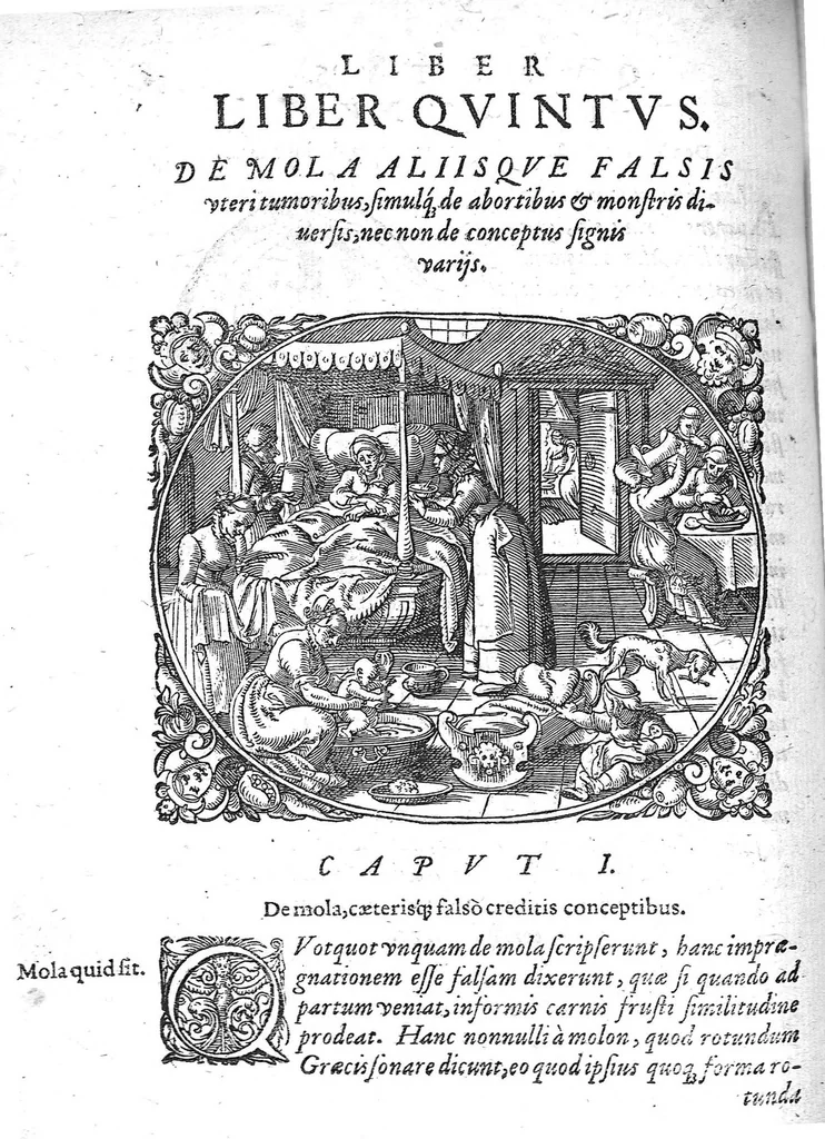 An illustration from De conceptu et generatione hominis, 1580, leaf 78