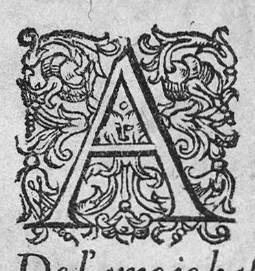 An illustration from La generation de l’homme et le temple de l’Ame : avec autres œuvres Poëtiques extraittes de l’Esculape de René Bretonnayau Medecin, natif de Vernantes en Anjou,, 1583, leaf 116