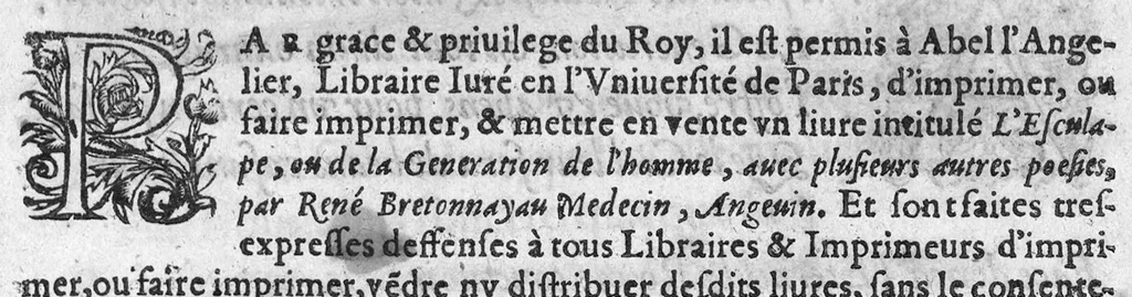 An illustration from La generation de l’homme et le temple de l’Ame : avec autres œuvres Poëtiques extraittes de l’Esculape de René Bretonnayau Medecin, natif de Vernantes en Anjou,, 1583, leaf 378