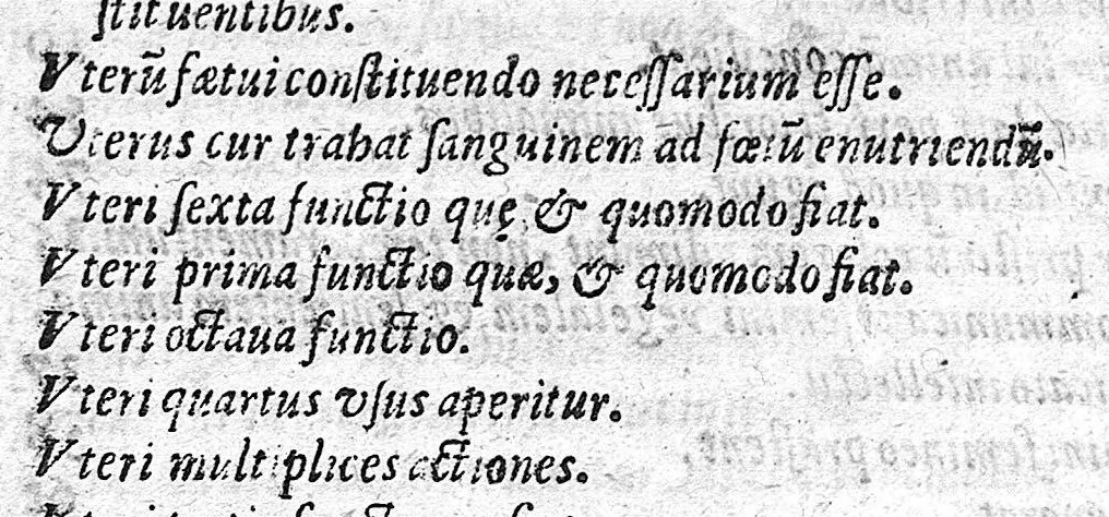 An illustration from De perfecta constitutione hominis in utero, 1616, leaf 149