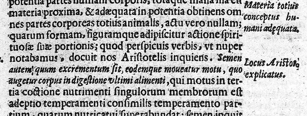 An illustration from De perfecta constitutione hominis in utero, 1616, leaf 32