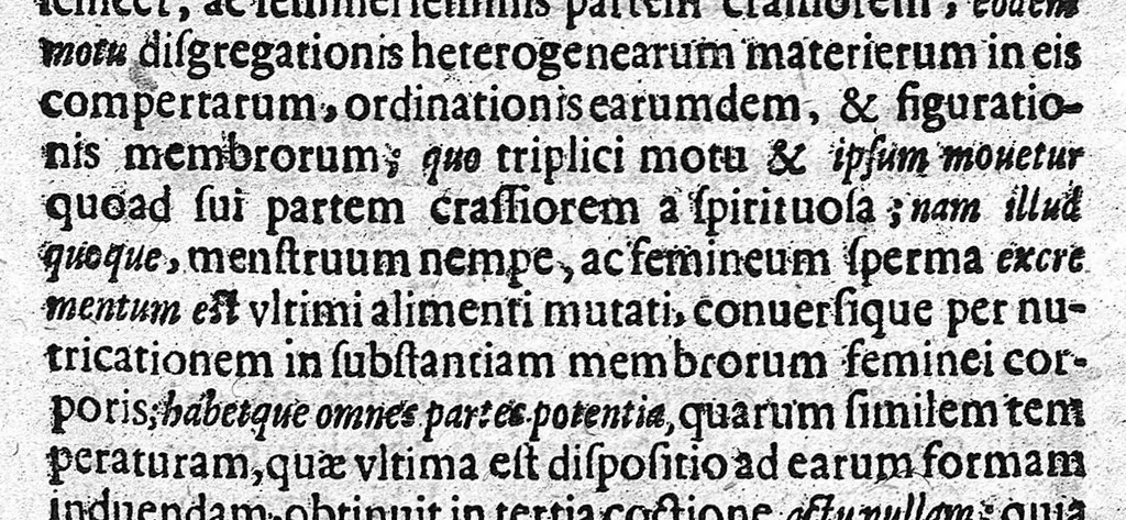 An illustration from De perfecta constitutione hominis in utero, 1616, leaf 32