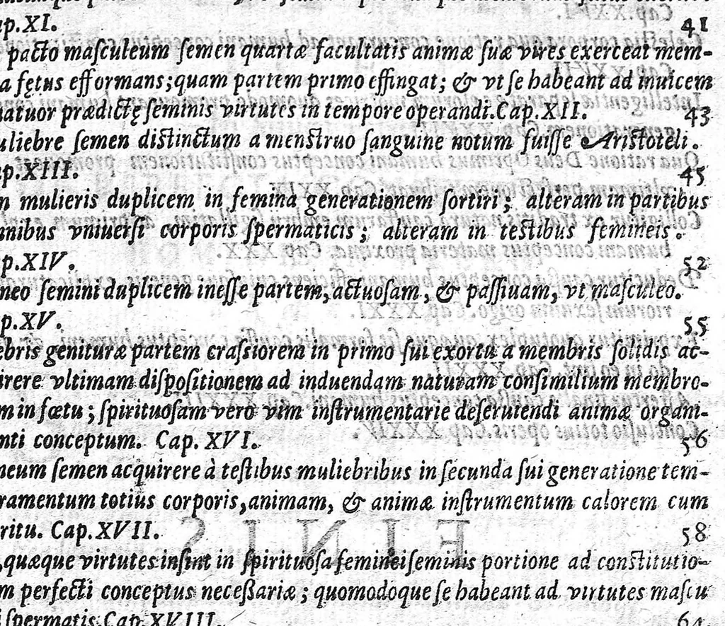 An illustration from De perfecta constitutione hominis in utero, 1616, leaf 6