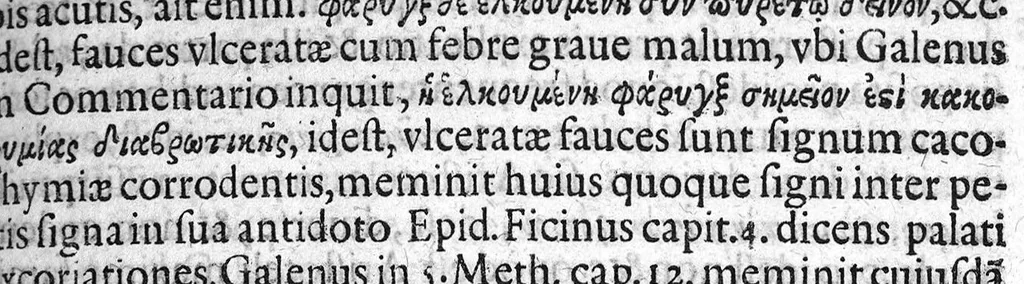 An illustration from Praelectiones Marciae, sive Commentaria in Thucydidis historiam, seu narrationem de Peste Atheniensium., 1603, leaf 282