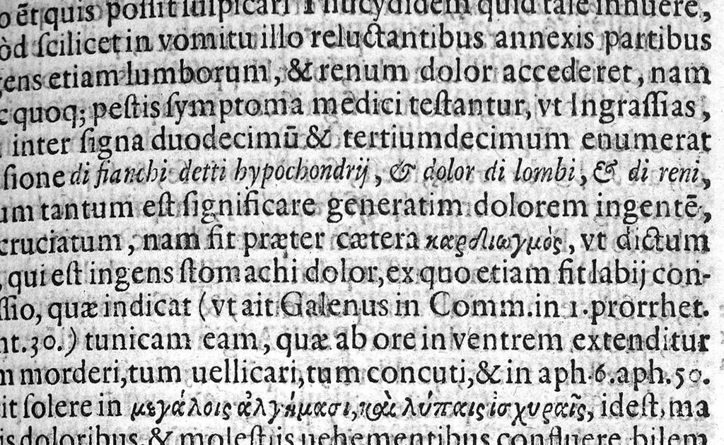 An illustration from Praelectiones Marciae, sive Commentaria in Thucydidis historiam, seu narrationem de Peste Atheniensium., 1603, leaf 316