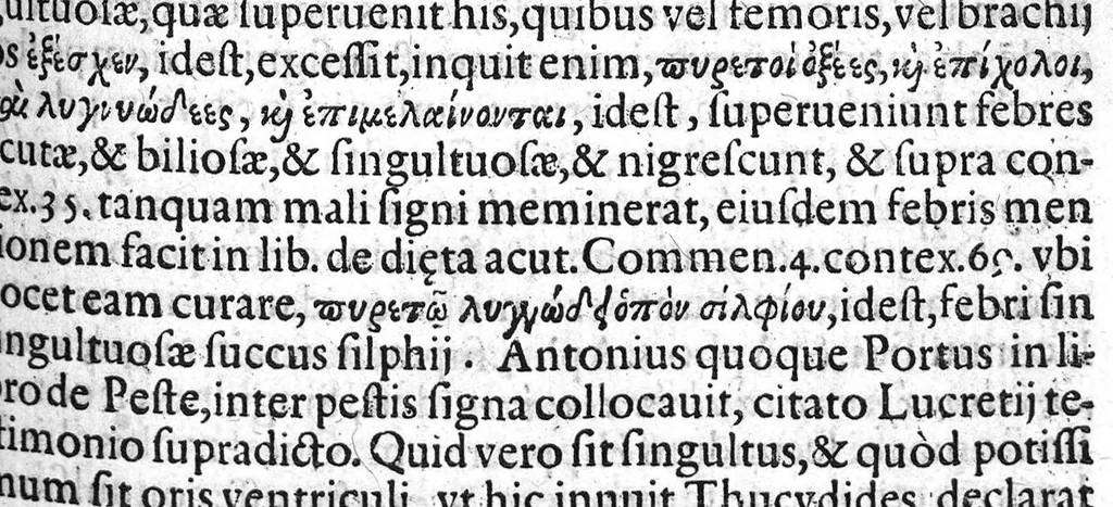 An illustration from Praelectiones Marciae, sive Commentaria in Thucydidis historiam, seu narrationem de Peste Atheniensium., 1603, leaf 320