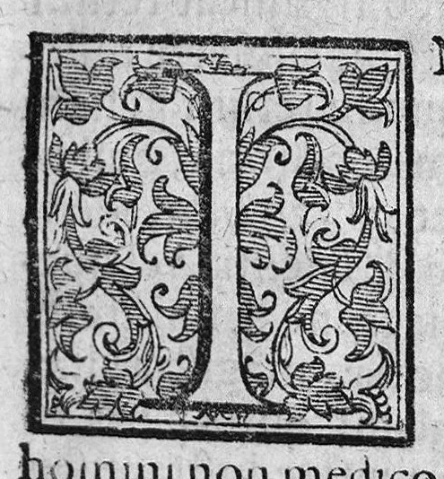 An illustration from Praelectiones Marciae, sive Commentaria in Thucydidis historiam, seu narrationem de Peste Atheniensium., 1603, leaf 44