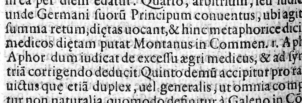 An illustration from Praelectiones Marciae, sive Commentaria in Thucydidis historiam, seu narrationem de Peste Atheniensium., 1603, leaf 491
